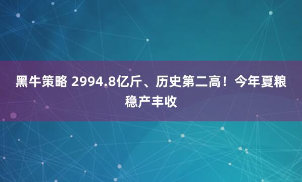黑牛策略 2994.8亿斤、历史第二高！今年夏粮稳产丰收